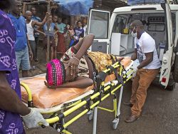 ВОЗ: число заболевших лихорадкой Эбола достигло 13 793 человек