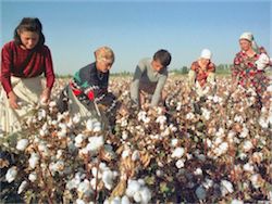 Узбекистан на 2-м месте в мире по доле рабов в населении страны