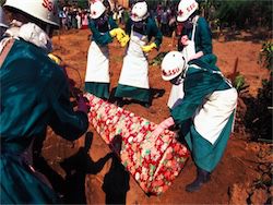ВОЗ: число жертв Эболы составило 4950 человек