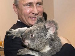The Observer: исключить Путина из всех мировых советов