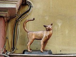 Памятник блокадной кошке Василисе вернется в Санкт-Петербург