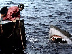 Политику Австралии относительно акул определил фильм «Челюсти»