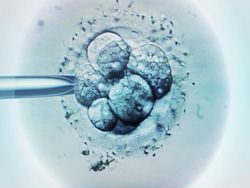 В Японии удалось родить из яйцеклетки, замороженной 12 лет назад